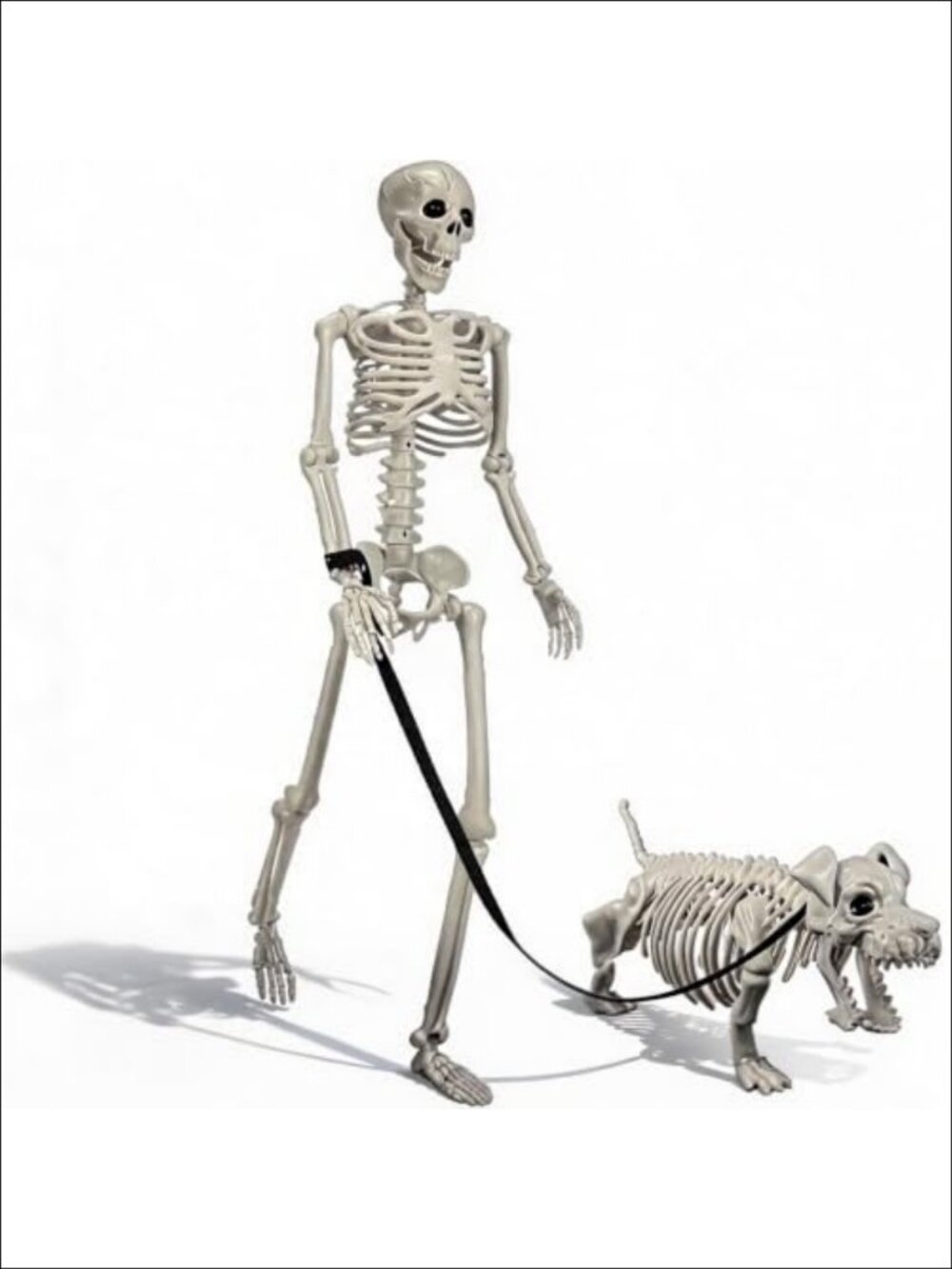 3FT Posable Human Skeleton & 22in Undead Dog Halloween Outdoor Decor Set